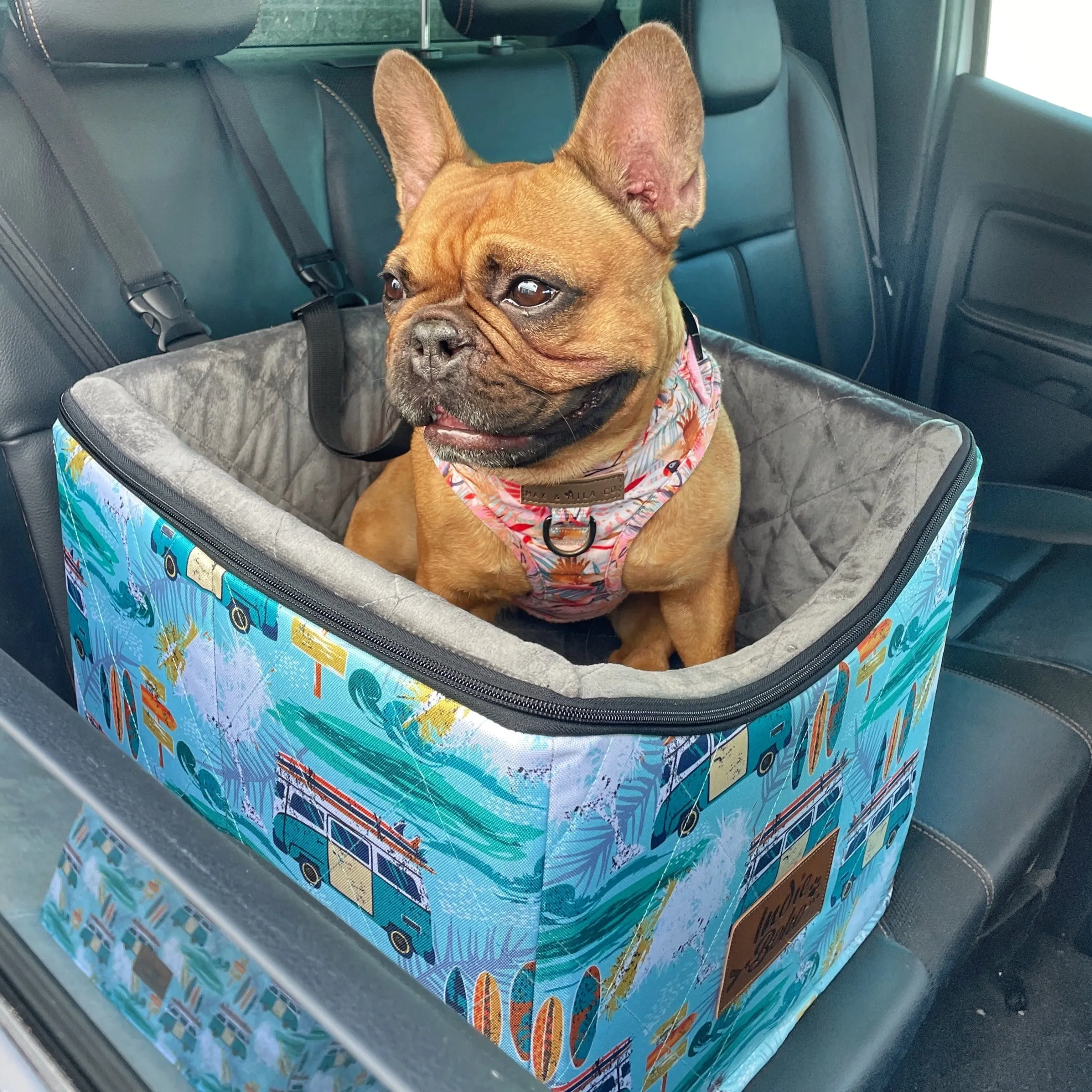 Car Pet Booster Seats SINGLE Size - Byron Surf