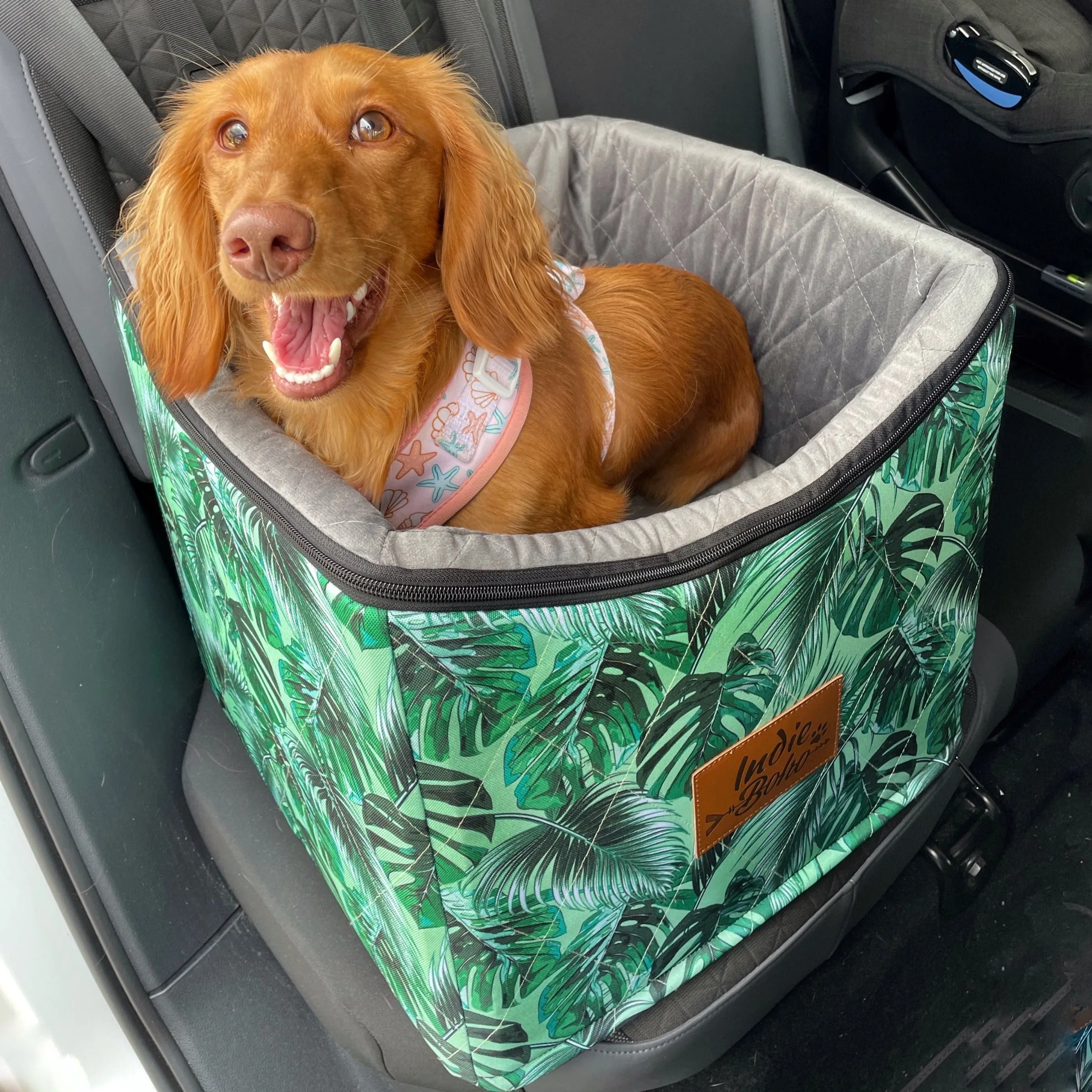 Car Pet Booster Seats SINGLE Size  - Tropical Leaves