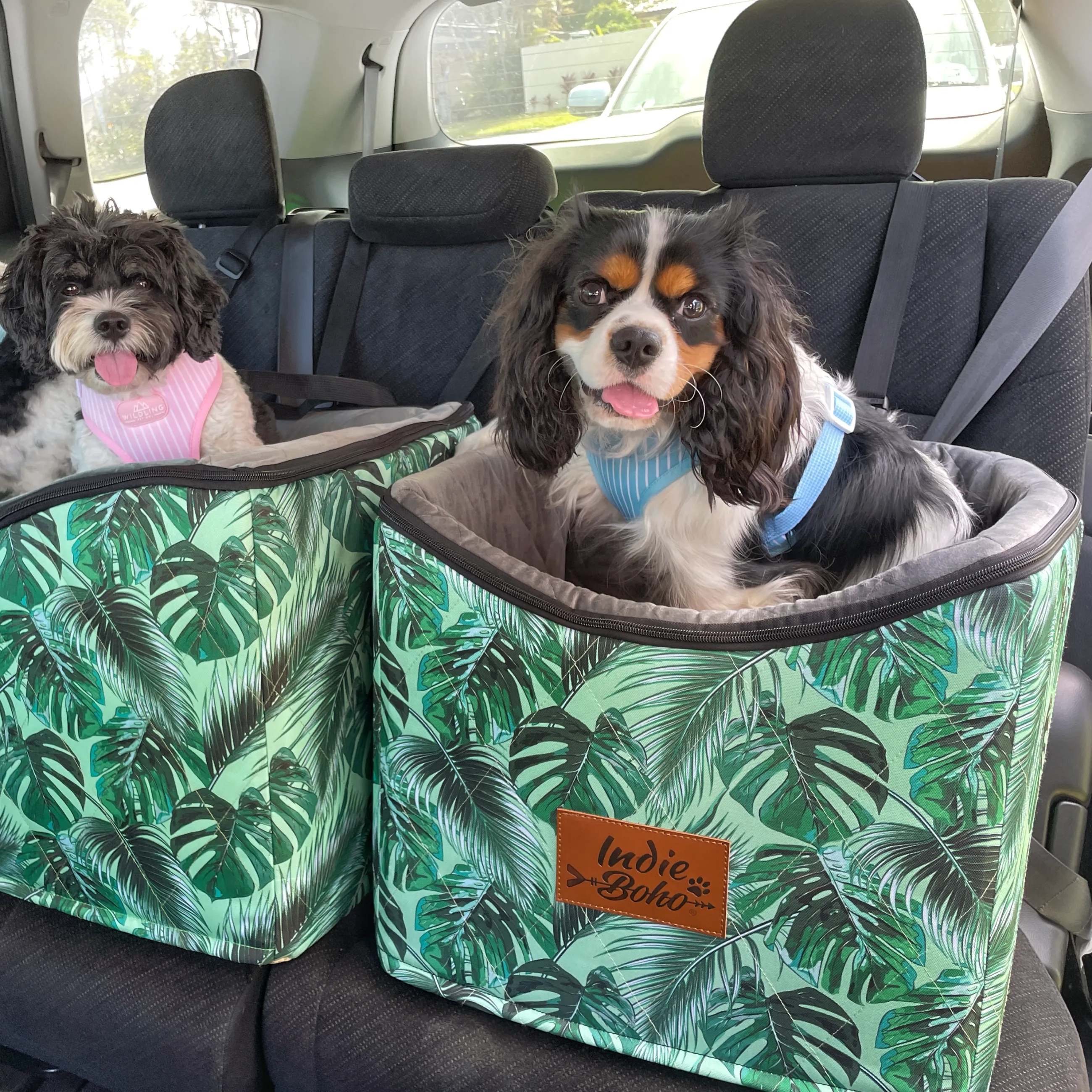 Car Pet Booster Seats SINGLE Size  - Tropical Leaves