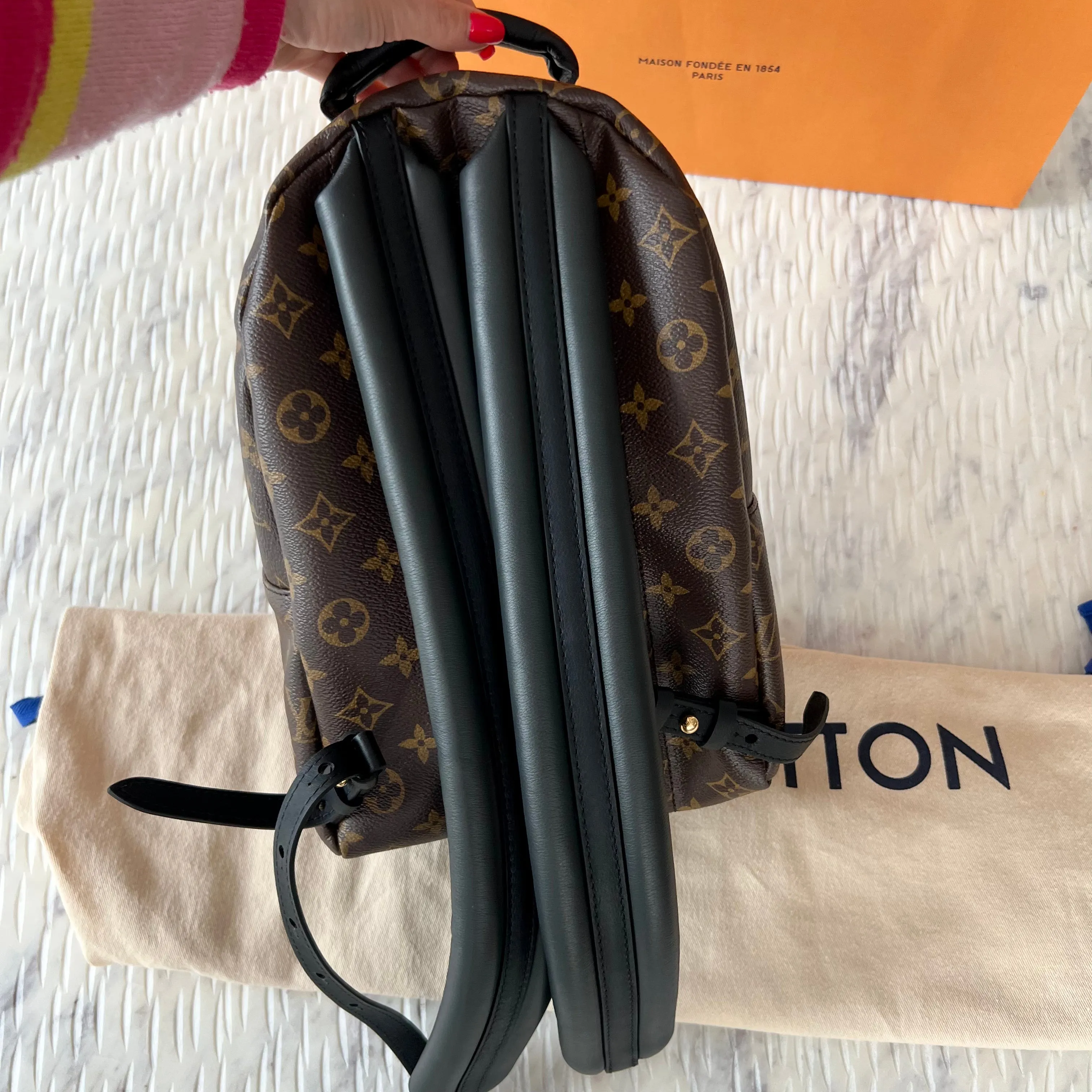 Louis Vuitton Palm Springs Backpack