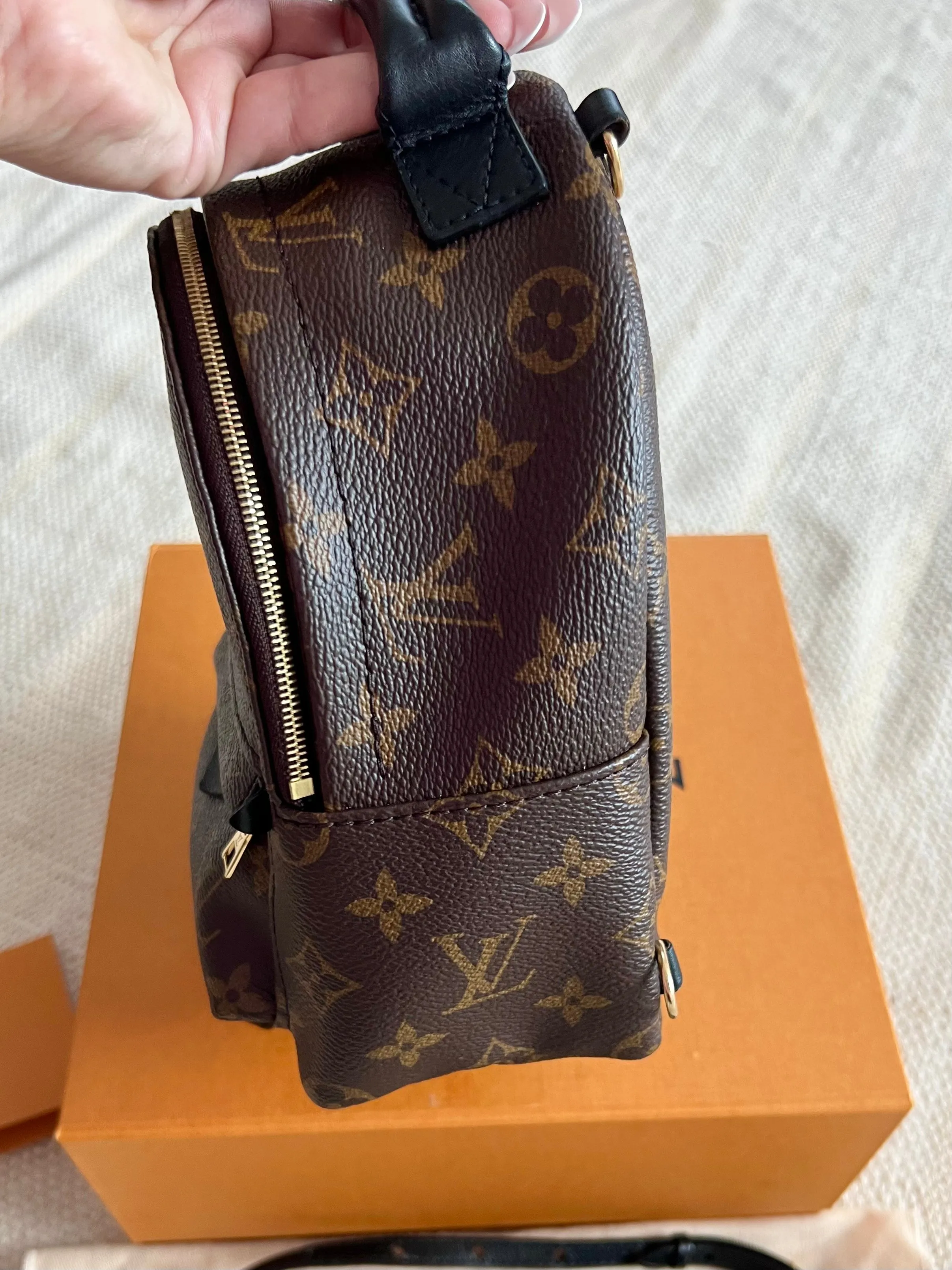 Louis Vuitton Palm Springs Mini Backpack