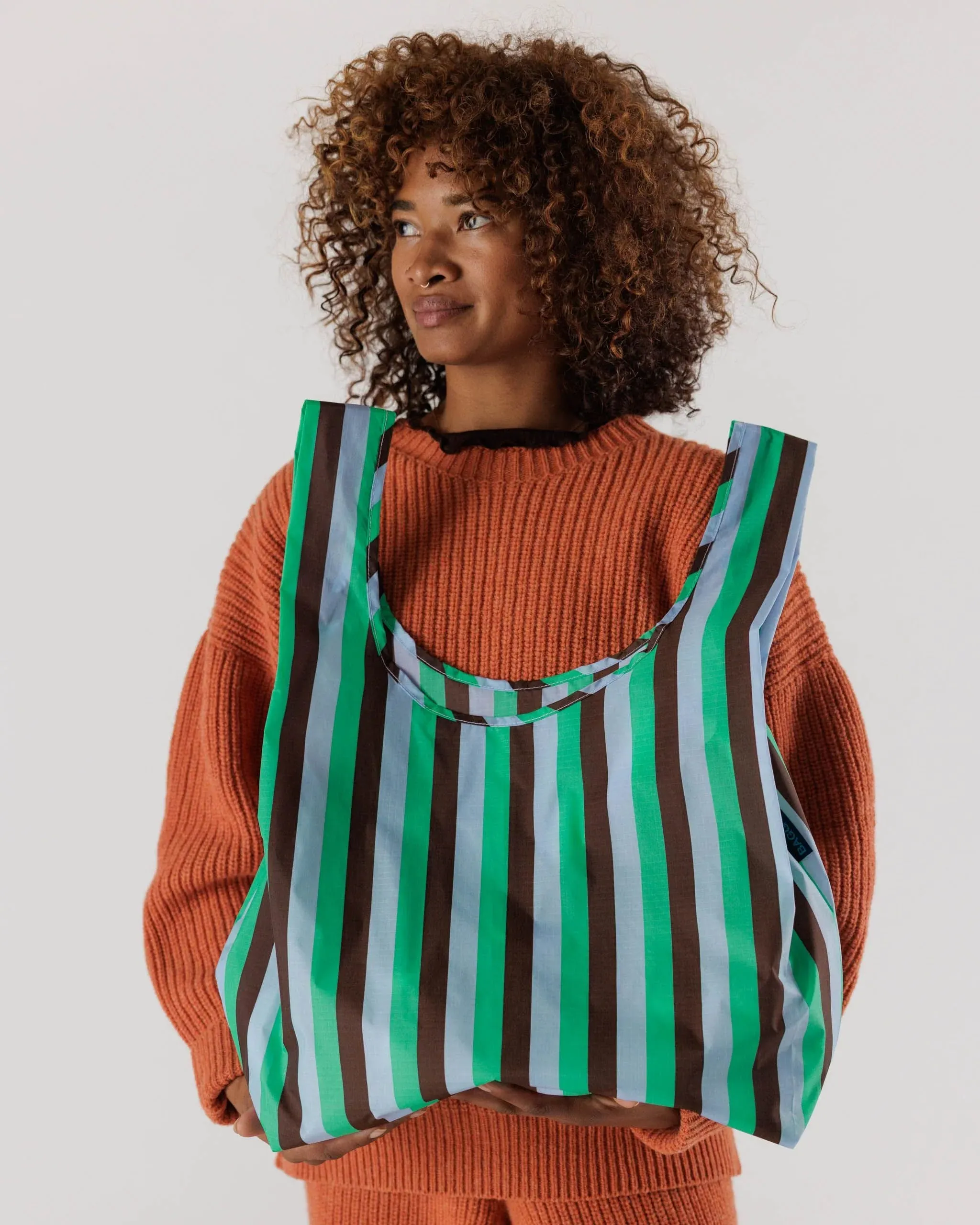 Standard Baggu - 90s Mint Stripe